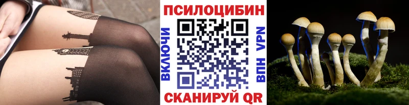 купить   Вытегра  Галлюциногенные грибы мицелий 